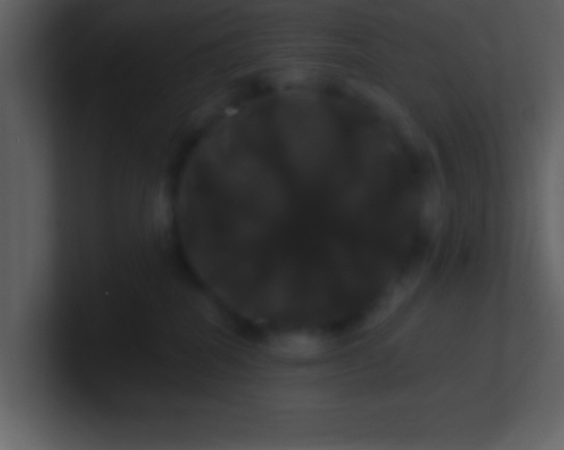 X0000100920282200807081157