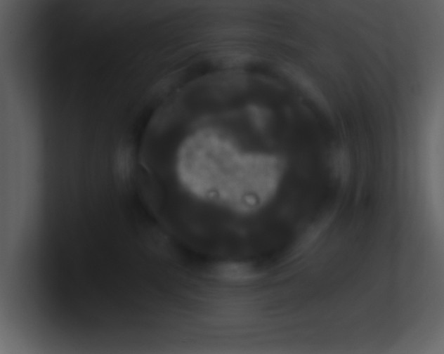 X0000100920283200807081157