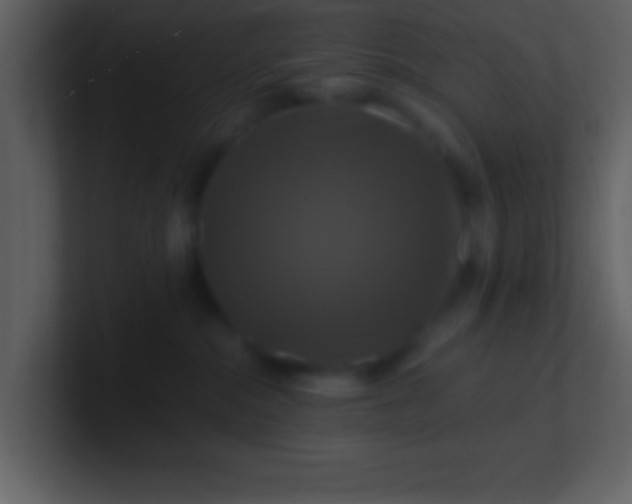 X0000100920284200807081158