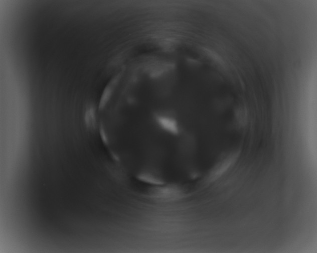 X0000100920286200807081158