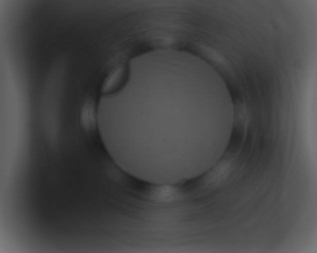 X0000100920287200807081158