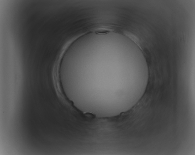 X0000100920289200807081157