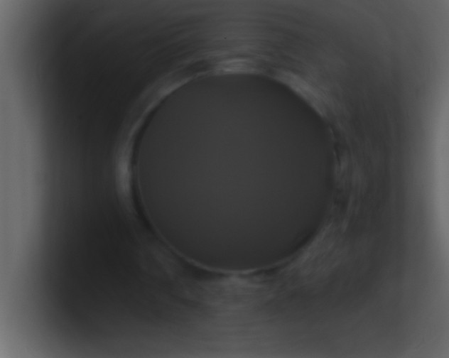 X0000100920290200807081157