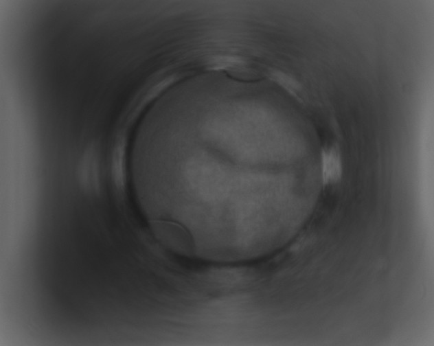 X0000100920291200807081157