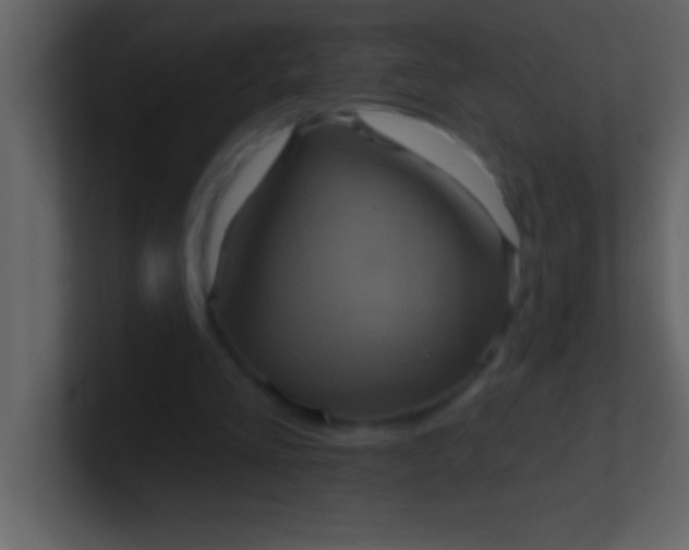 X0000100920293200807081157