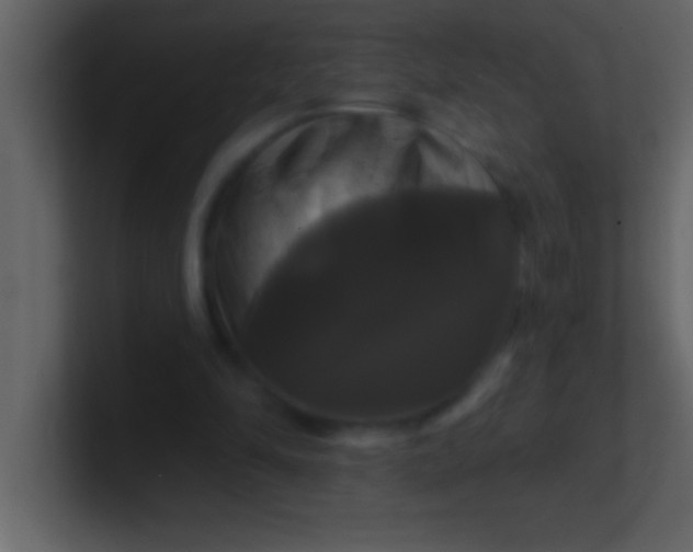 X0000100920294200807081157