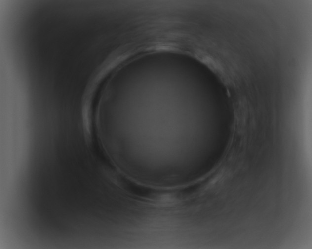 X0000100920295200807081157