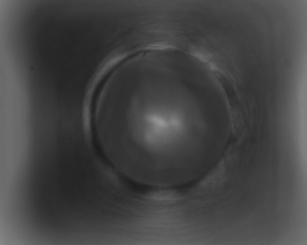 X0000100920296200807081157