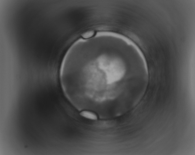 X0000100920297200807081157