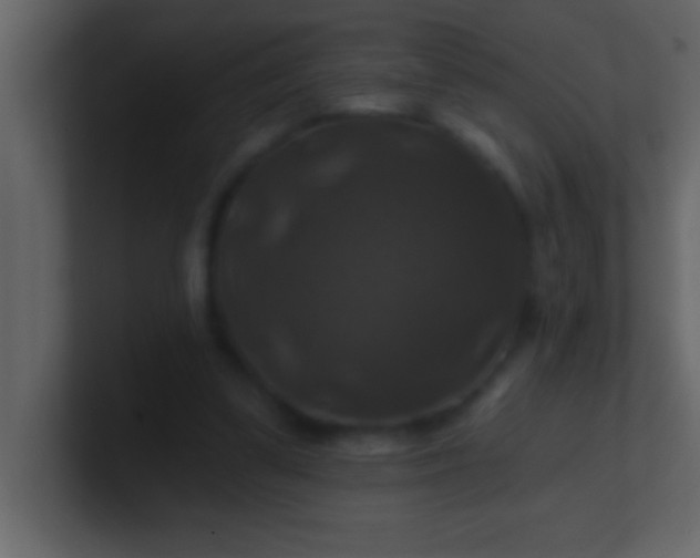 X0000100920299200807081157