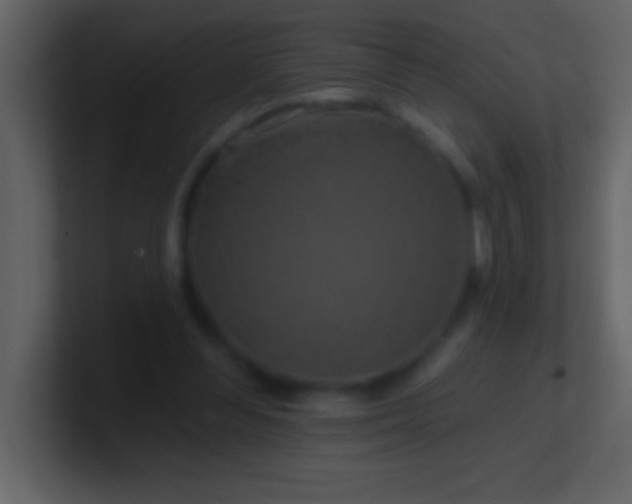 X0000100920300200807081157