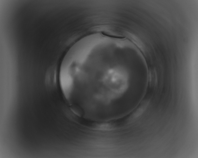 X0000100920301200807081157