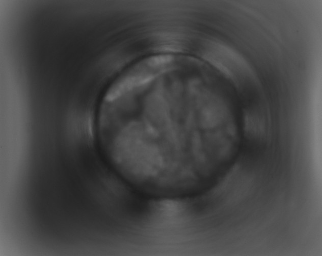 X0000100920302200807081157