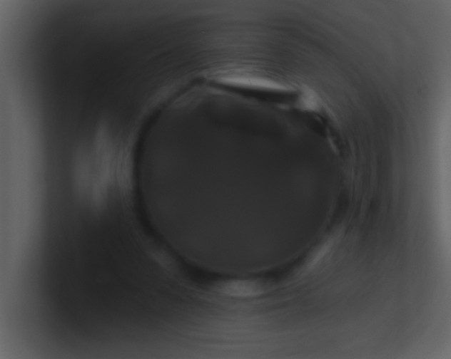 X0000100920303200807081157