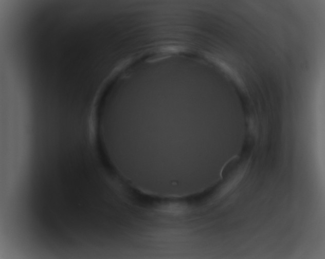 X0000100920304200807081157