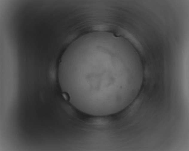 X0000100920305200807081157