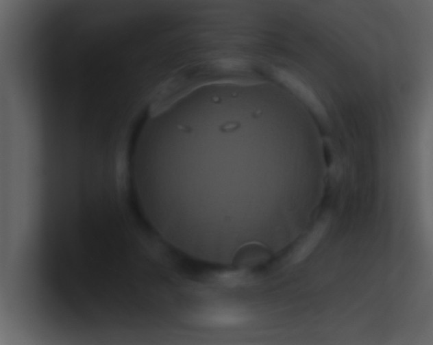 X0000100920306200807081157