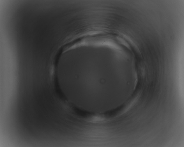 X0000100920308200807081157