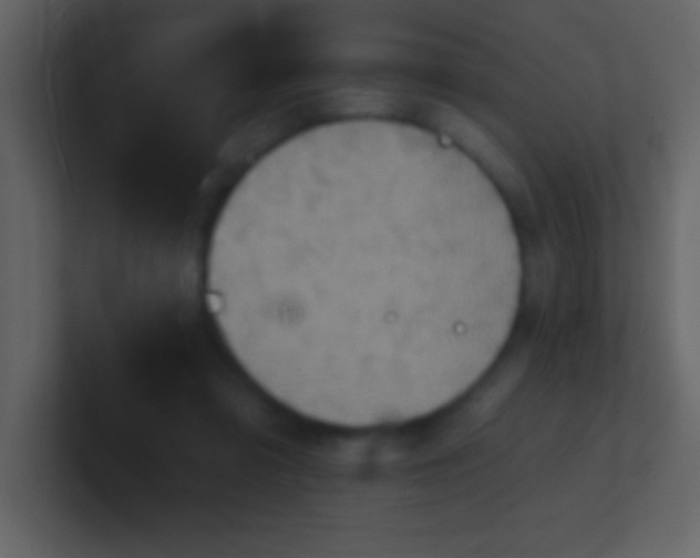 X0000100920309200807081157