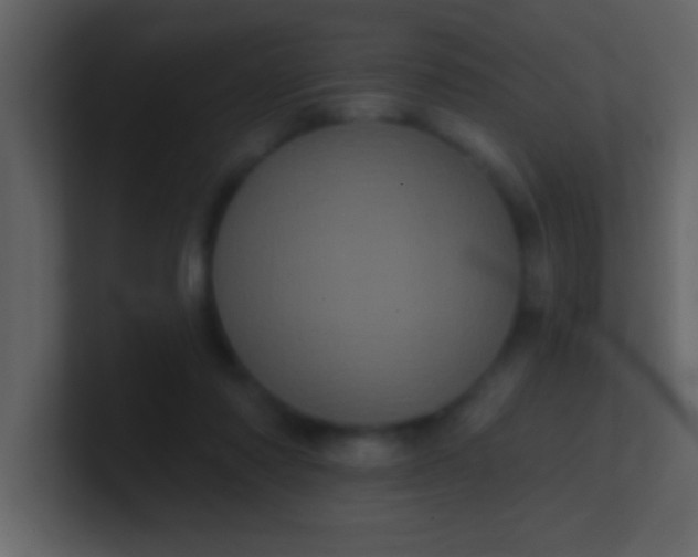 X0000100920310200807081157