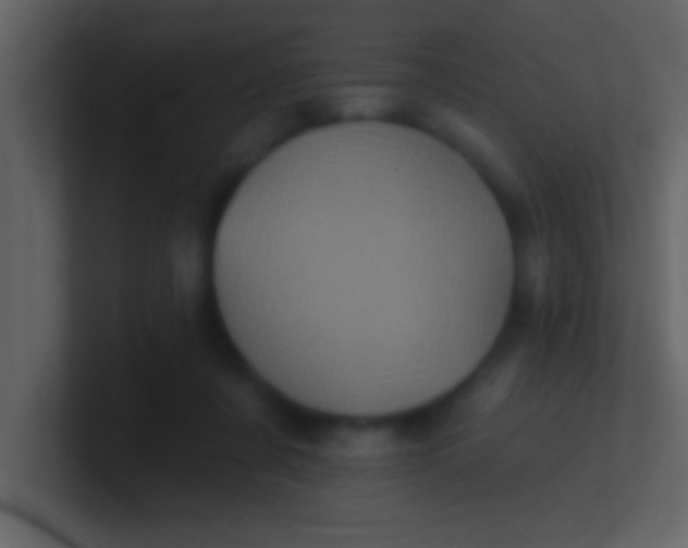 X0000100920311200807081157