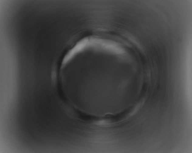 X0000100920312200807081157