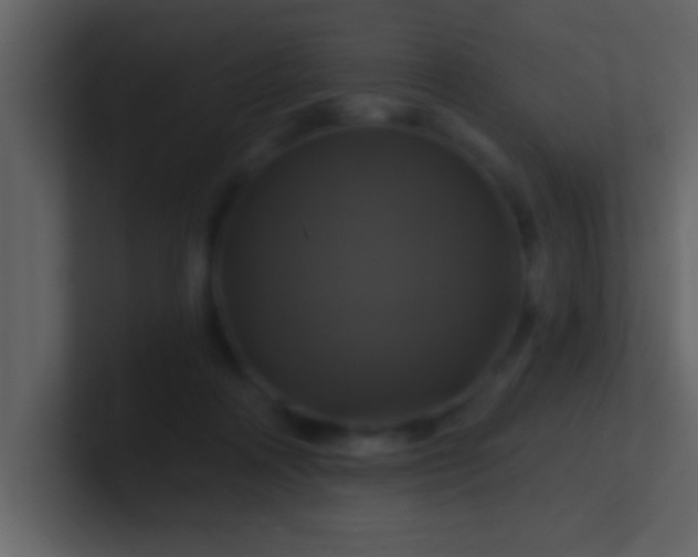 X0000100920314200807081157