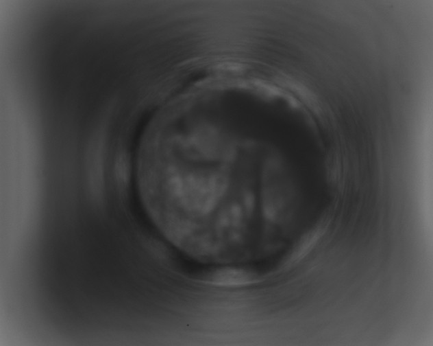 X0000100920315200807081157