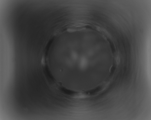 X0000100920316200807081157