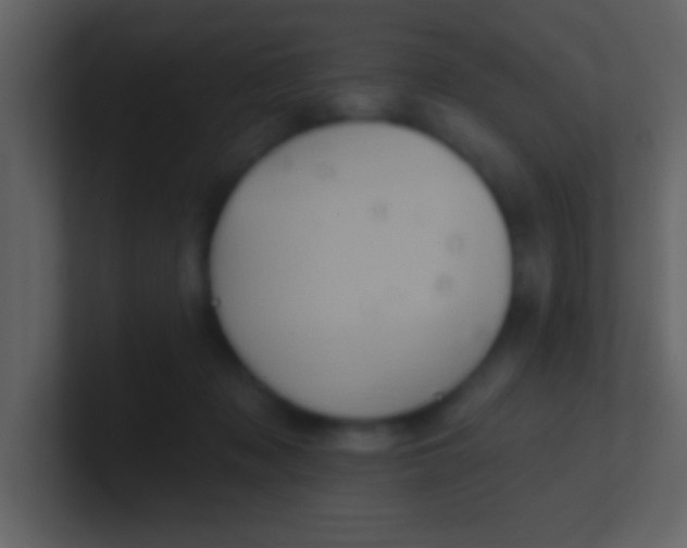 X0000100920317200807081157