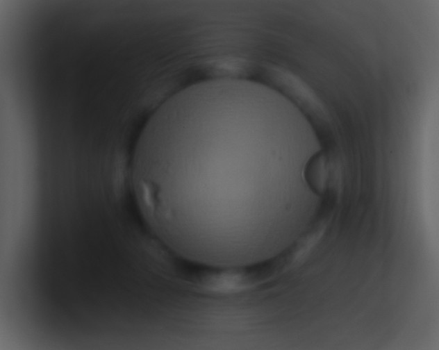 X0000100920318200807081157