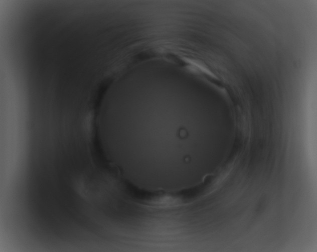 X0000100920319200807081156