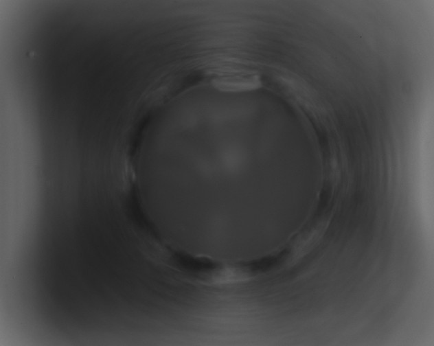 X0000100920320200807081156