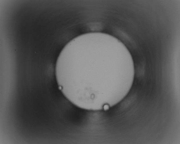 X0000100920321200807081156