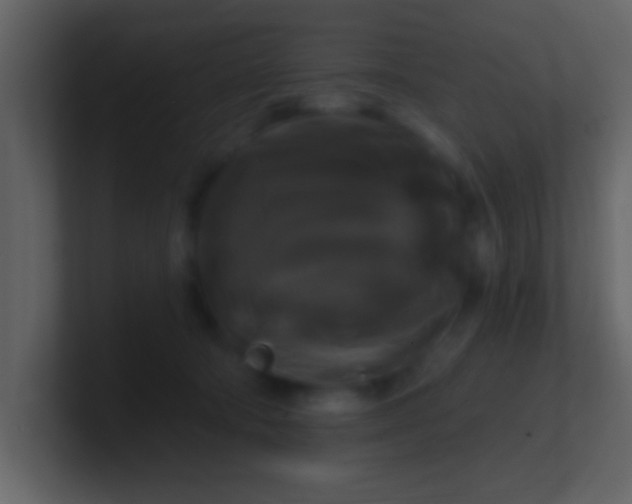 X0000100920322200807081156