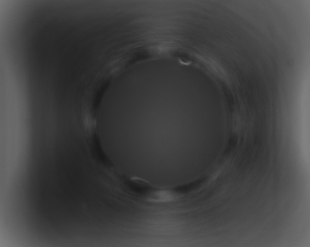 X0000100920324200807081156