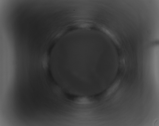 X0000100920325200807081156