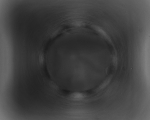 X0000100920326200807081156