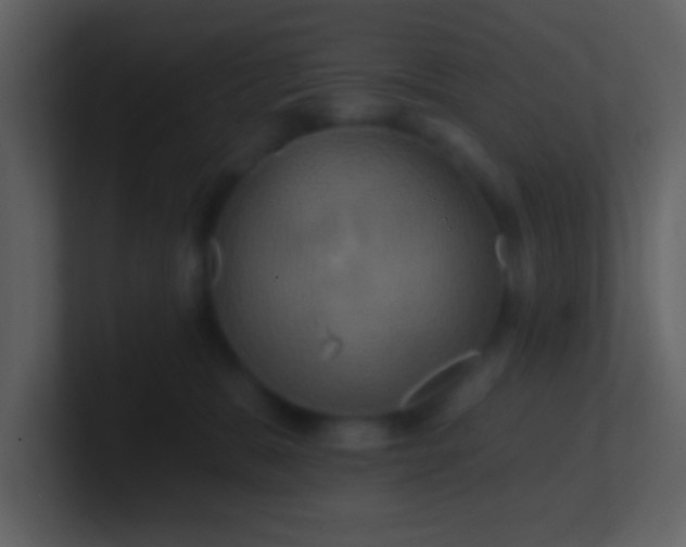 X0000100920327200807081156