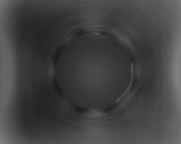 X0000100920328200807081156