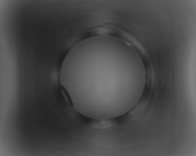 X0000100920329200807081156