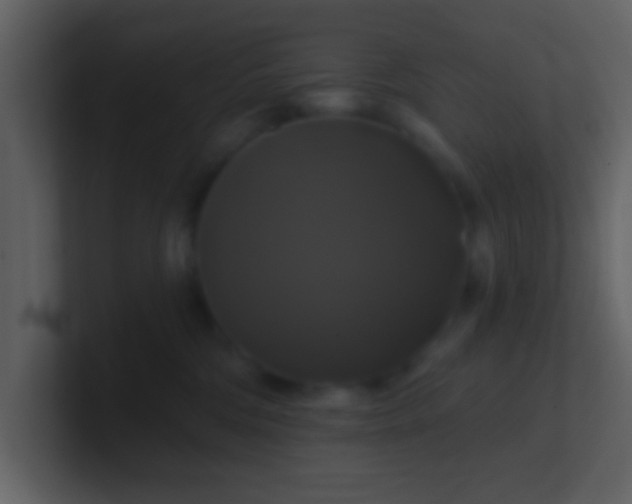 X0000100920330200807081156