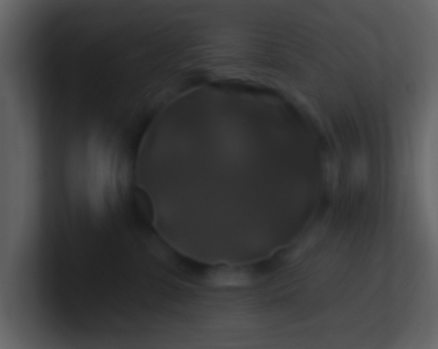 X0000100920331200807081156