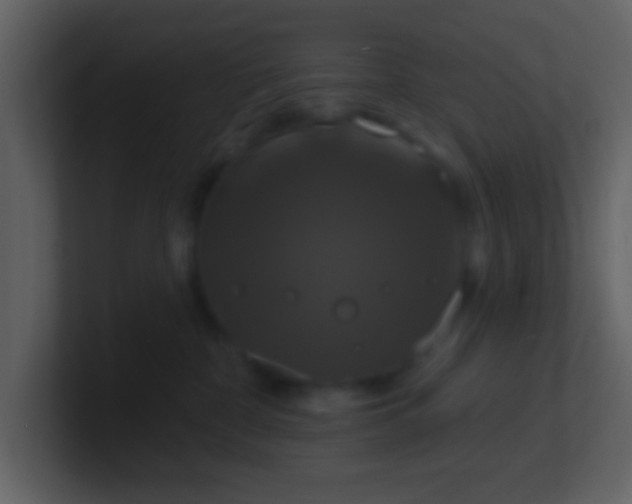 X0000100920332200807081156