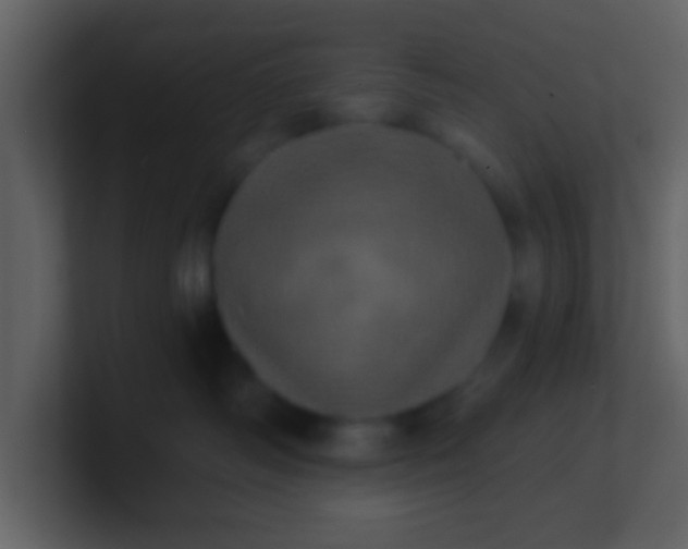 X0000100920334200807081156