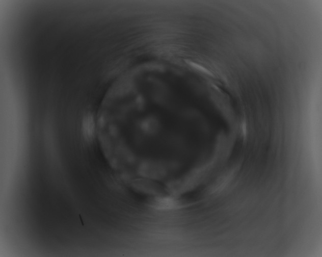 X0000100920335200807081156