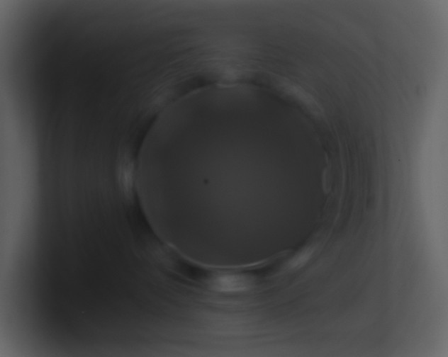 X0000100920336200807081156