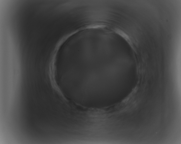 X0000100920337200807081156