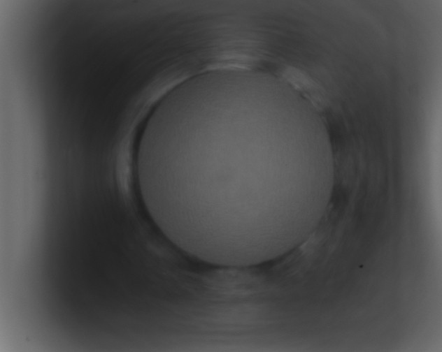 X0000100920338200807081156