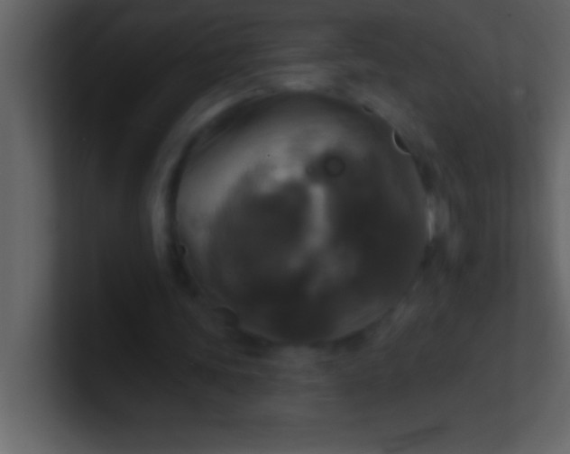 X0000100920339200807081156